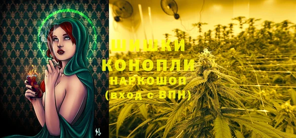 винт Алексеевка