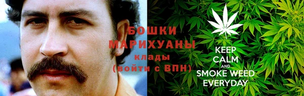 мдпв Дубна