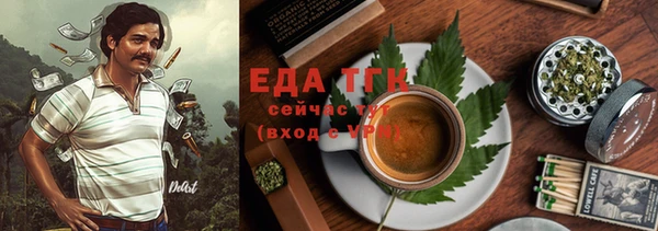 ГАЛЛЮЦИНОГЕННЫЕ ГРИБЫ Дубовка