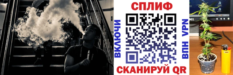 дарк нет как зайти  Дмитриев  Бошки Шишки MAZAR  купить  